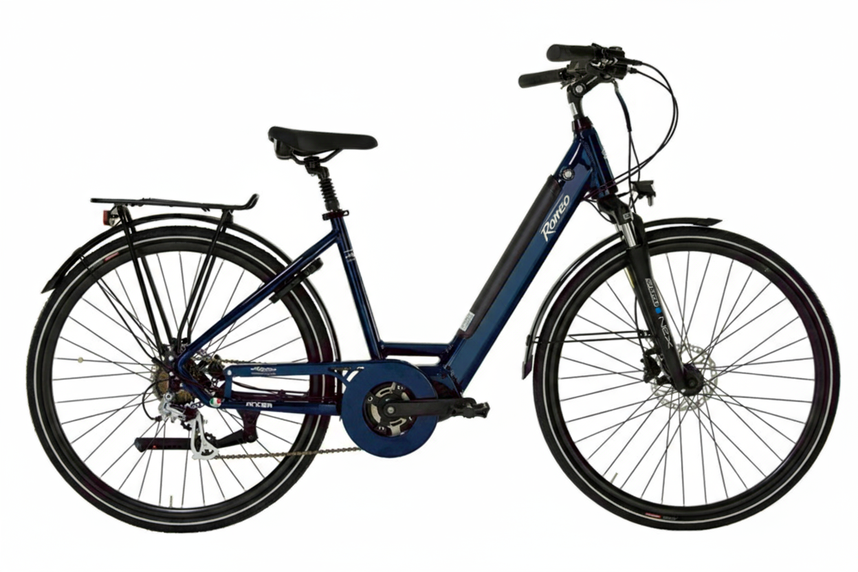 Bicicletta elettrica “ Torino ebike “