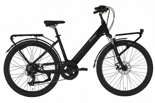 Bicicletta Elettrica “ Veneto “