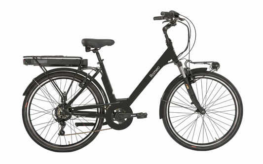 Bicicletta elettrica “ Cruiser ebike”